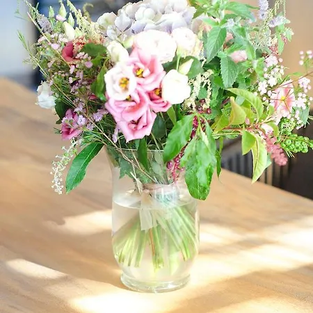 Maison Caroline - 10 Personnes Avec Piscine A 5km De Tropez 别墅 *